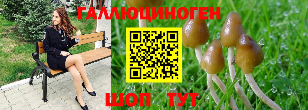 Псилоцибиновые грибы MAGIC MUSHROOMS Шелехов