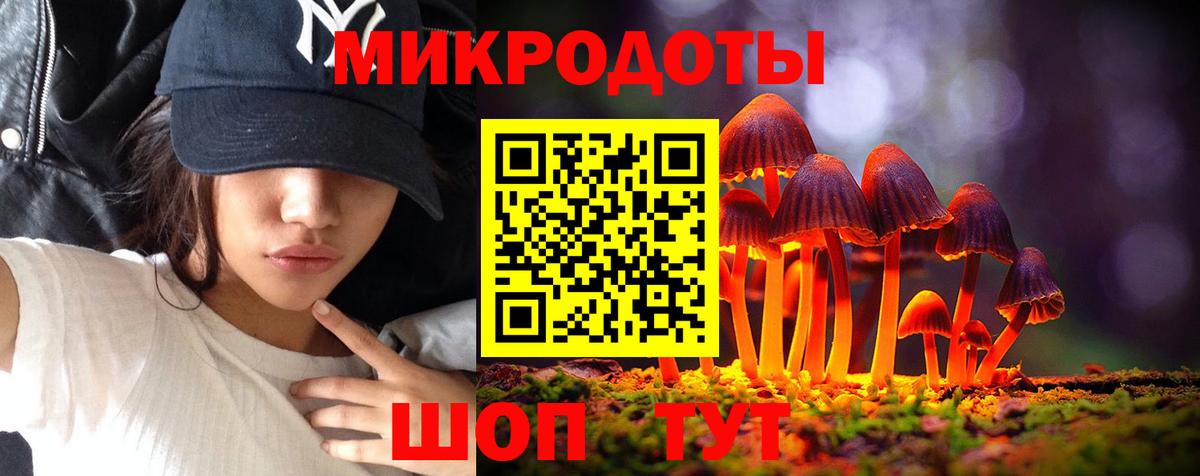 Галлюциногенные грибы Psilocybine cubensis  Вход с VPN  Шелехов 